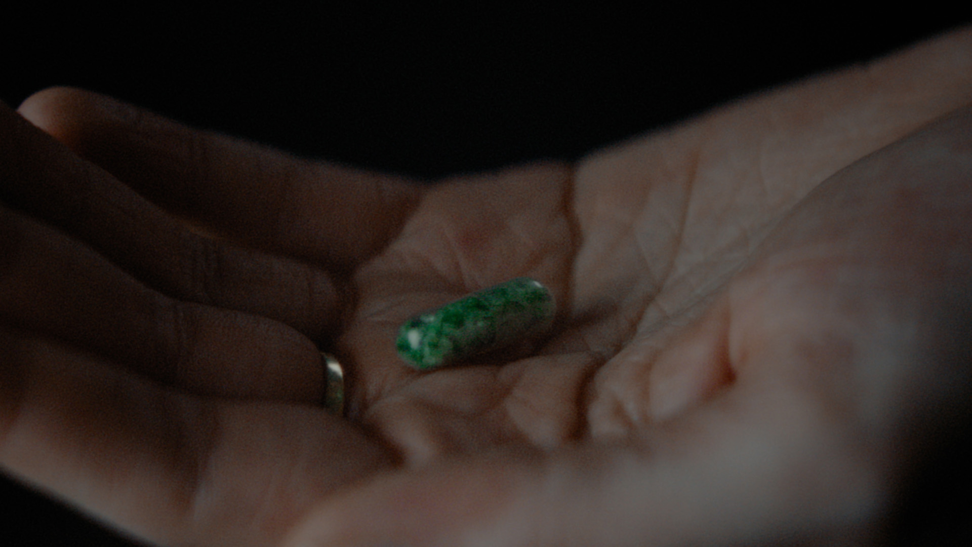 Wien Tourismus – Microdose Vienna